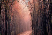 丁彥雨航談治療與康復投入幾百萬 無遺憾坦言全力以赴.