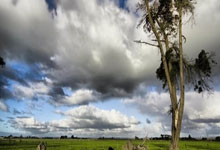 CBA：止住连败 北京北汽男篮104-86深圳马可波罗男篮.