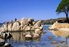 郑钦文退出联合杯！备战澳洲公开赛.